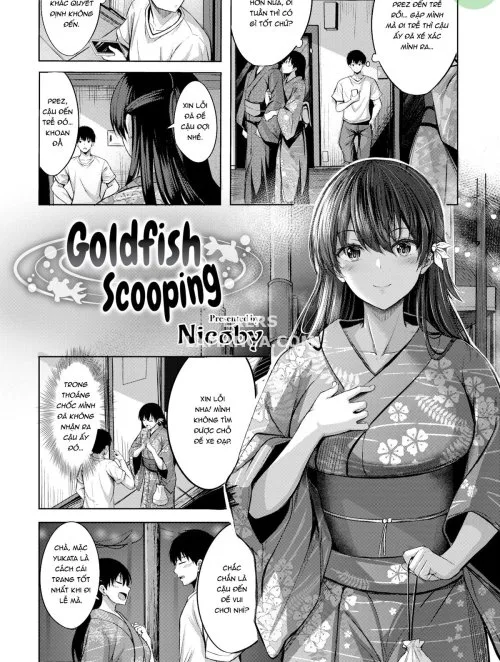 Goldfish Scooping